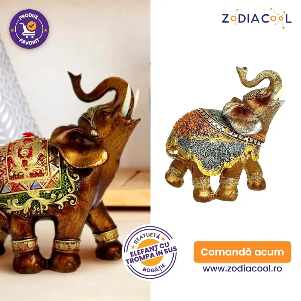 Elefant cu trompa in sus