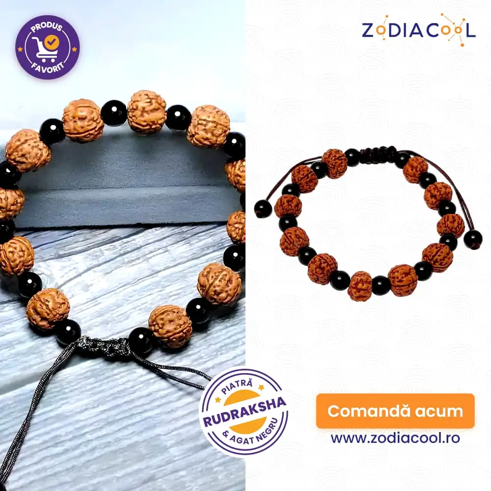 Brățara șnur Rudraksha Agat Negru