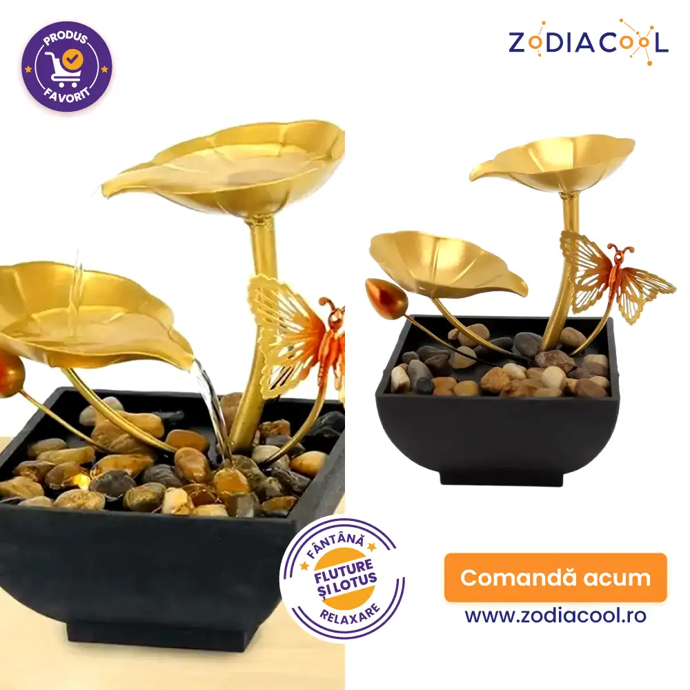Fântână fluture și lotus