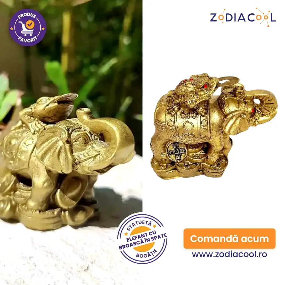 Elefant cu broasca in spate