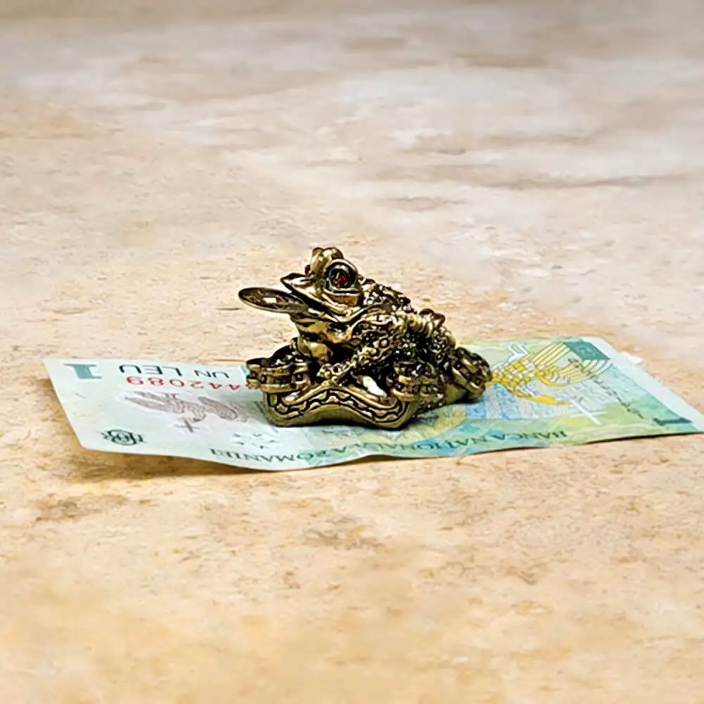 Broasca banilor cu Ru Yi și moneda