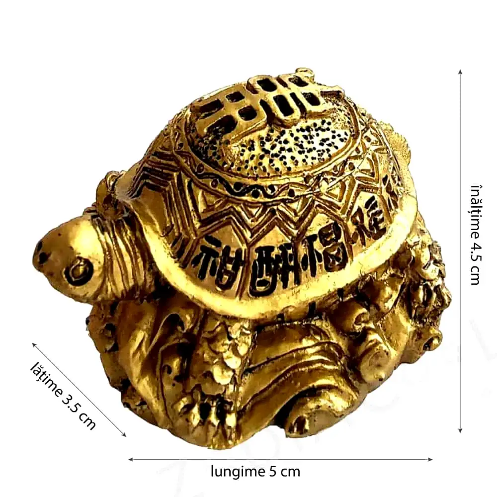 Broasca testoasa feng shui cu ideograme