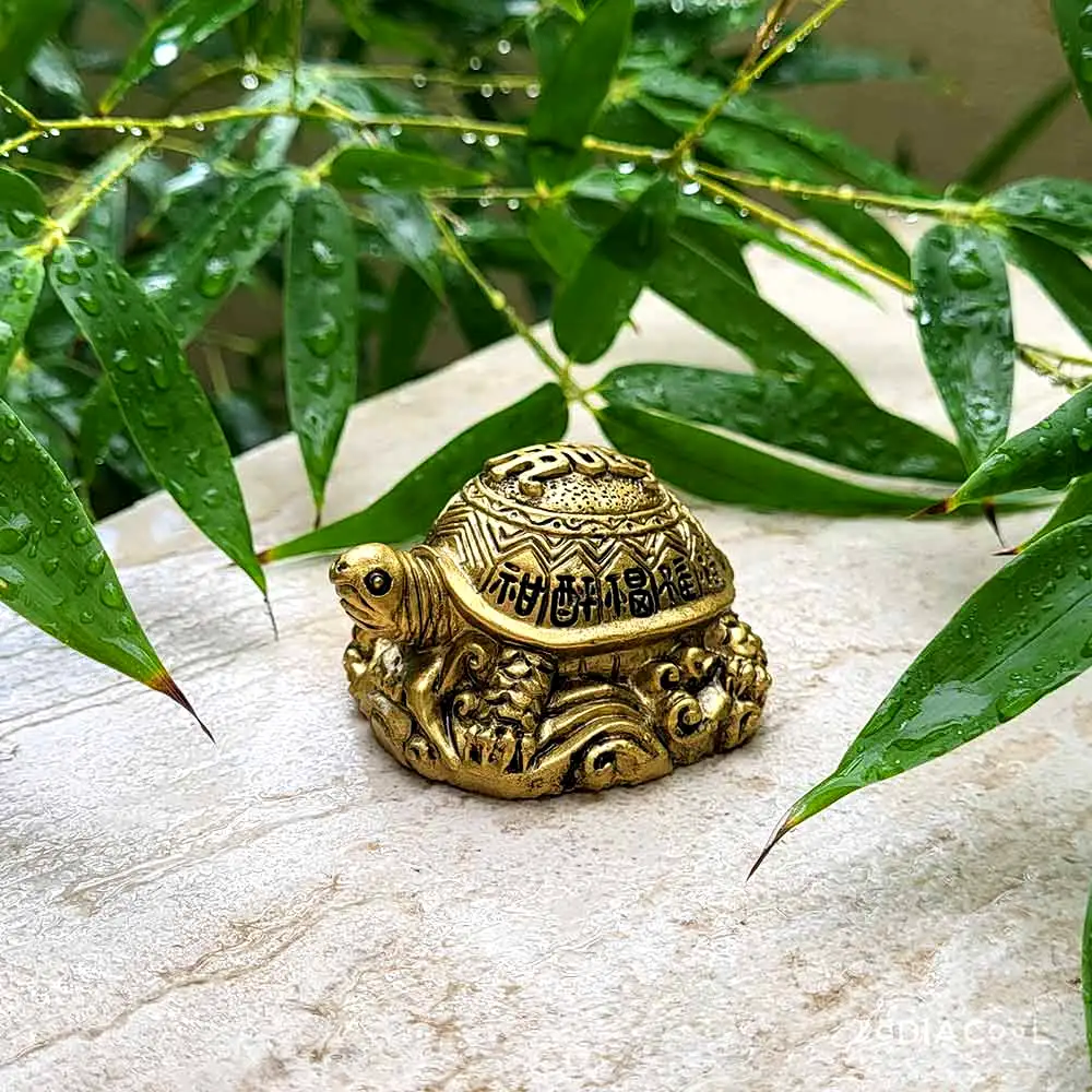 Broasca testoasa feng shui cu ideograme