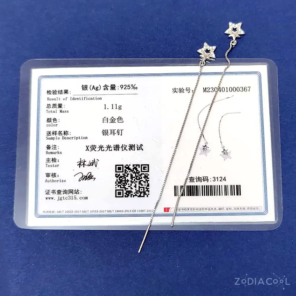 Cercei lungi din argint 925