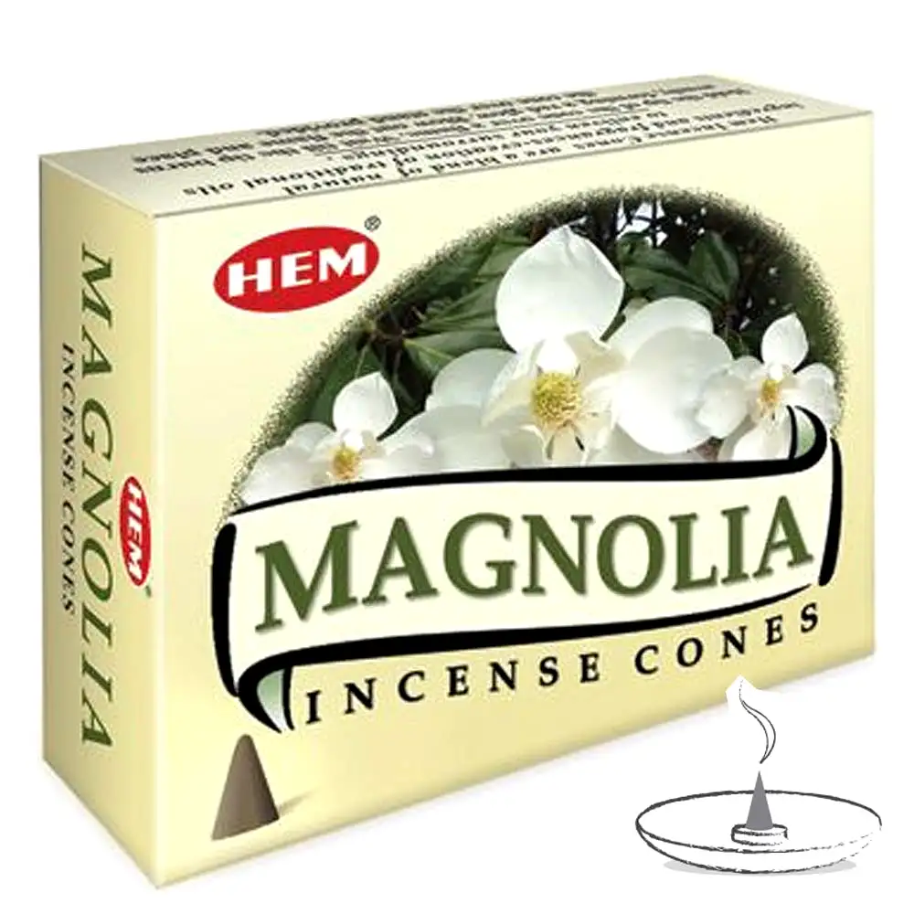 conuri-magnolie-3796