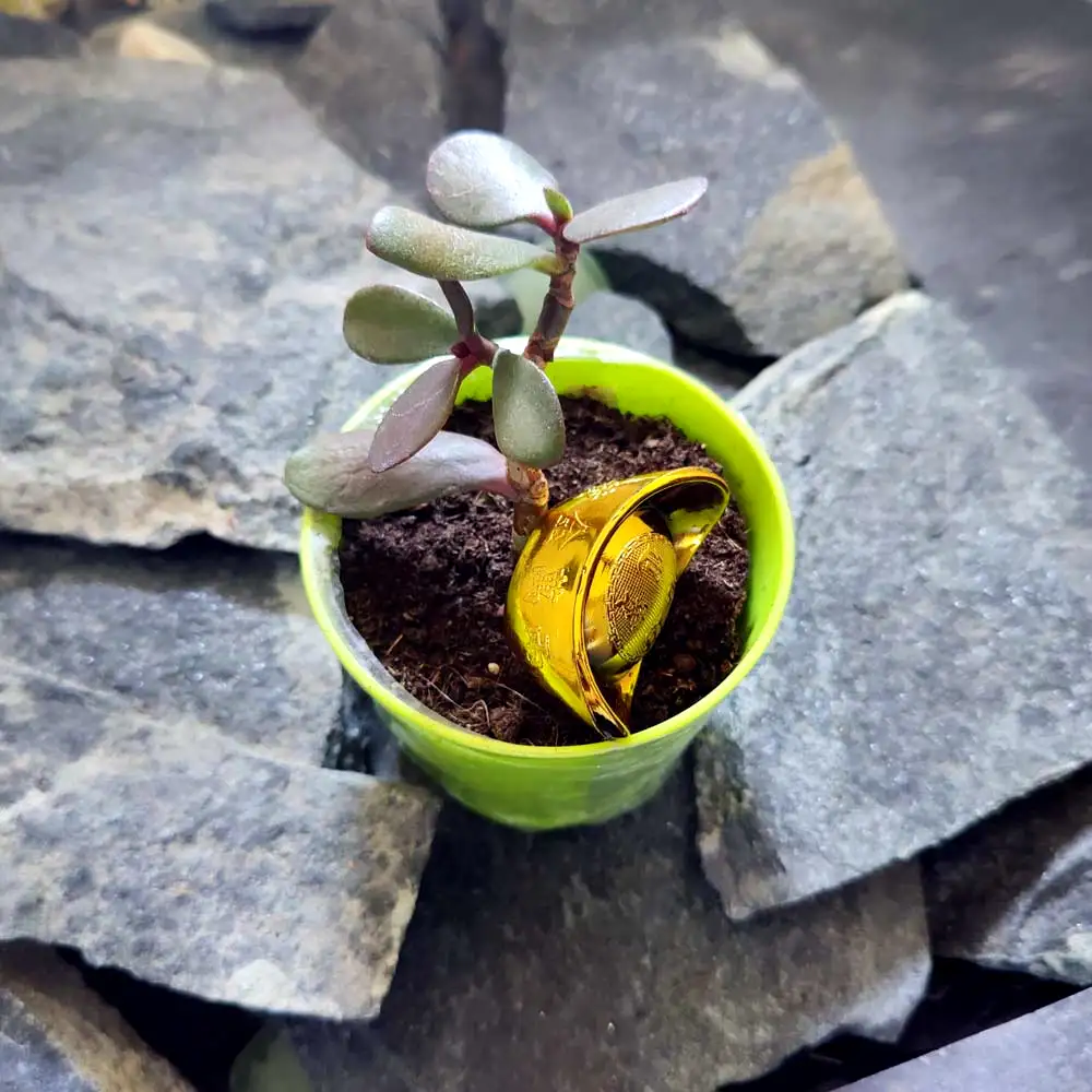 Pepita aurie din plastic