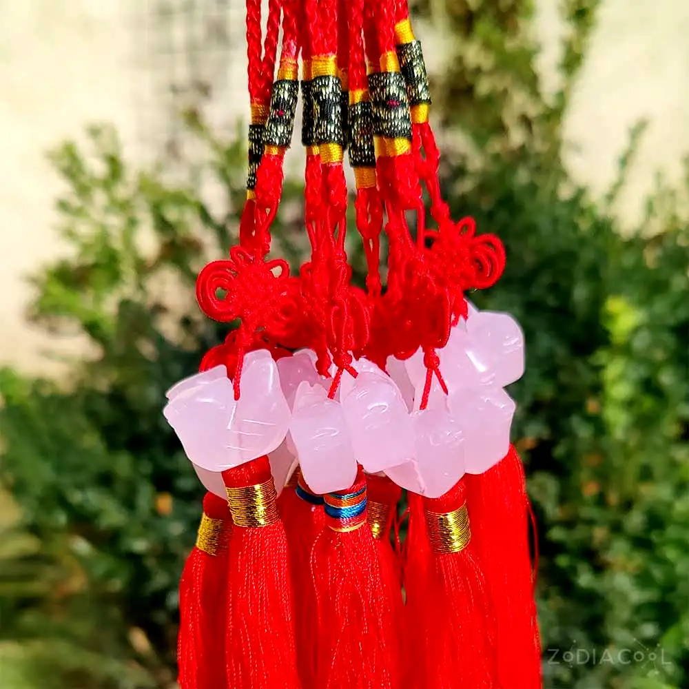 Rate mandarine cuart roz