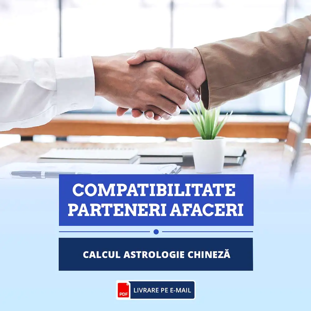 Compatibilitate intre parteneri de afaceri, ghid de astrologie chineza cu determinarea gradului de succes a asociatilor