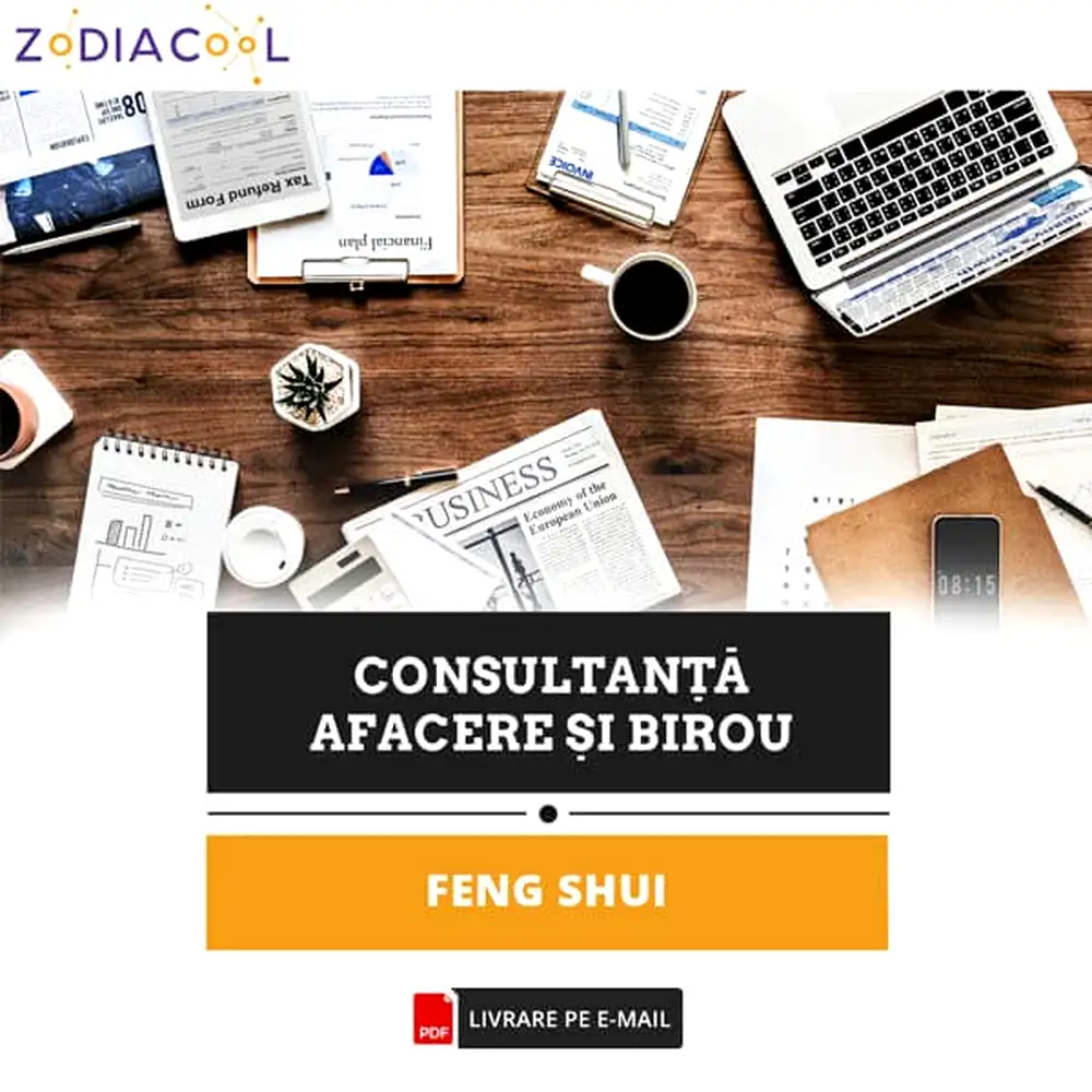 consultanta-feng-shui-ora-2141