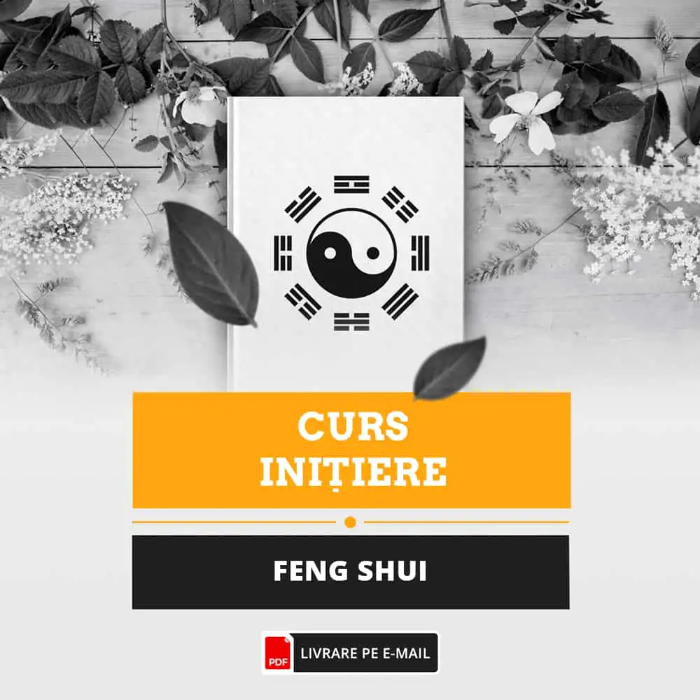 curs-feng-shui-initiere-2337