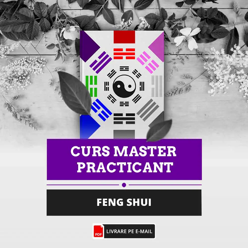 Carte Feng Shui Casa, format electronic
