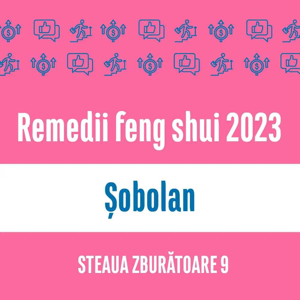 Carte remedii feng shui 2023 pentru zodia Șobolan, Steaua Zburătoare 9, livrare pe e-mail 