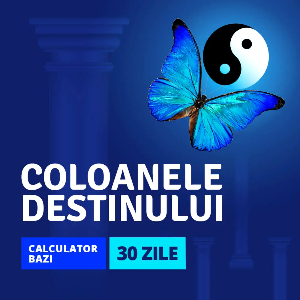 Ghid de interpretare, acces nelimitat 30 zile la calcul coloanele destinului, Calculator BaZi, cod Zodiacool