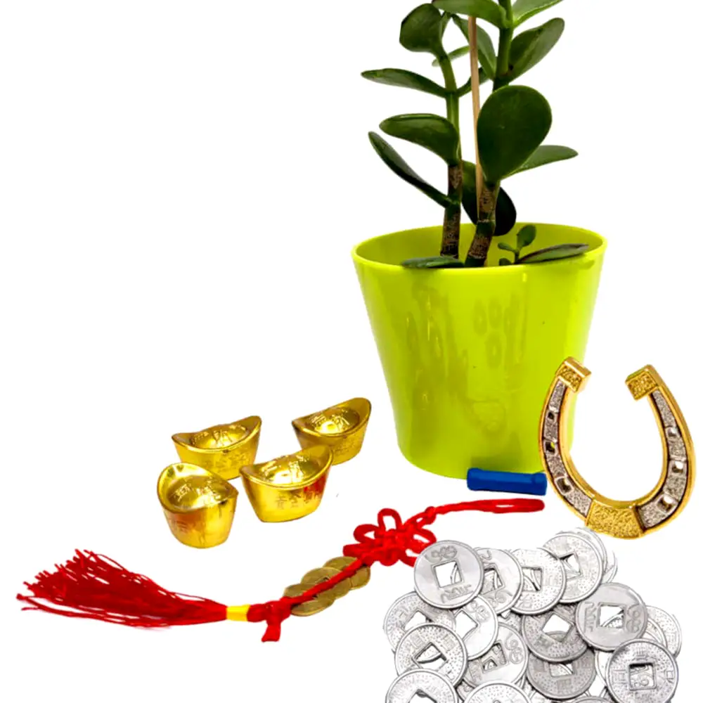 Planta banilor, 4 pepite si potcoava cu magnet, amuleta 3 monede si 24 banuti chinezesti, instructiuni de plasare si utilizare