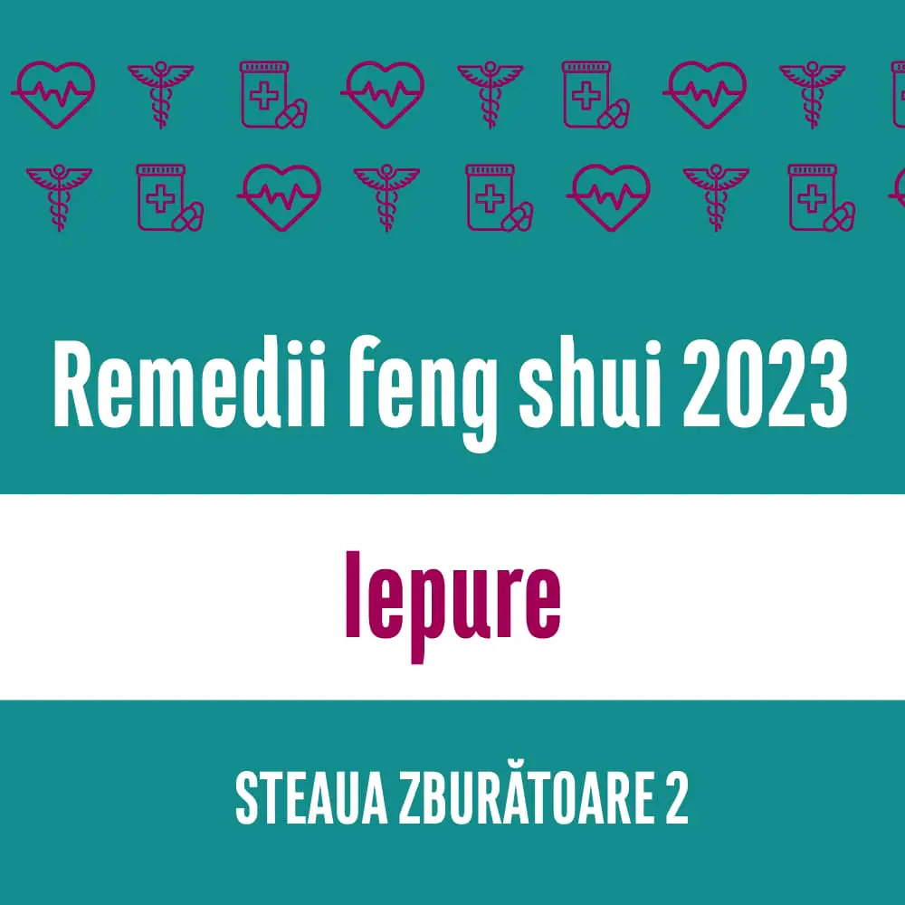 Carte remedii feng shui 2023 pentru zodia Iepure, Steaua Zburătoare 2, livrare pe e-mail
