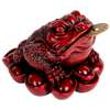 Broasca norocoasa Feng Shui, pe soclu de monede si pepite, statueta piatra 9 cm rosu