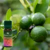 Bergamota Ulei aromaterapie, parfum flori dulci de citrice pentru relaxare, sticla 10 ml cu picurator