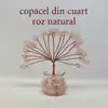 Copacei cristale Cuart Roz