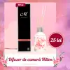 Odorizant camera parfum Hilton, sticla decor și bețișoare ornamentale, 100 ml
