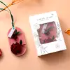 Odorizant haine dulap si baie Ambra, ornament de agatat ceara soia, aroma orientala 30g