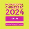 Carte horoscop Tigru 2024, 12 pagini în format pdf 