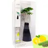 Odorizant de cameră aromaterapie cu Lămâie și Citronella, vază decor, 500 ml