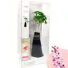 Difuzor cameră flori Cireșe, obiect decorativ vază, 500 ml