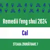 Carte remedii feng shui 2023 pentru zodia Cal, Steaua Zburătoare 8, livrare pe e-mail 