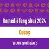 Carte remedii feng shui 2023 pentru zodia Cocoș, Steaua Zburătoare, 6 livrare pe e-mail 