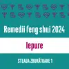 Carte remedii feng shui 2023 pentru zodia Iepure, Steaua Zburătoare 2, livrare pe e-mail