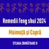Carte remedii feng shui 2023 pentru zodiile Maimuță și Capră, Steaua Zburătoare 1, livrare pe e-mail