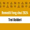 Carte remedii feng shui 2023 pentru 3 Ucideri, livrare pe e-mail 