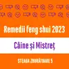 Carte remedii feng shui 2023 pentru zodiile Câine și Mistreț, Steaua Zburătoare 5 livrare pe e-mail