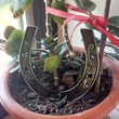 Potcoava norocoasa, amuleta Feng Shui cu phoenix si dragon pentru noroc in casa si birou, metal auriu vintage 10cm