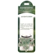 Pandantiv cristal Aventurin Frunza, talisman pentru atragerea bunastarii, set cu lantisor pe carton personalizat, verde