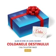Ghid de interpretare, acces nelimitat 30 zile la calcul coloanele destinului, Calculator BaZi, cod Zodiacool