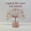 Copacei cristale Cuart Roz