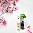 Difuzor cameră flori Cireșe, obiect decorativ vază, 500 ml