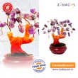 Copacei decorativi piatra Ametist, cristalul divinitatii, ghiveci 12 cm