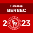 Carte Horoscop Berbec 2023, livrare pe e-mail in format pdf, 20 pagini