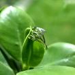 Inel 3 pietre Peridot, piatra energiei, oțel inxoidabil ajustabil verde