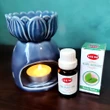 Ulei de Menta pentru aromaterapie, gama profesionala HEM Mystic Mint, aroma fresh, 10 ml