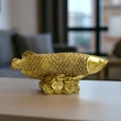 Peste Arowana pe monede, obiect feng shui pentru abundenta si bogatie, auriu