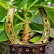 Potcoava norocoasa, amuleta Feng Shui cu phoenix si dragon pentru noroc in casa si birou, metal auriu vintage 10cm