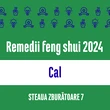 Carte remedii feng shui 2023 pentru zodia Cal, Steaua Zburătoare 8, livrare pe e-mail 