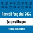 Carte remedii feng shui 2023 pentru zodiile Șarpe și Dragon, Steaua Zburătoare 3, livrare pe e-mail 