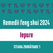 Carte remedii feng shui 2023 pentru zodia Iepure, Steaua Zburătoare 2, livrare pe e-mail