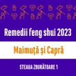 Carte remedii feng shui 2023 pentru zodiile Maimuță și Capră, Steaua Zburătoare 1, livrare pe e-mail