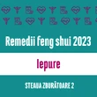 Carte remedii feng shui 2023 pentru zodia Iepure, Steaua Zburătoare 2, livrare pe e-mail