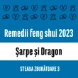 Carte remedii feng shui 2023 pentru zodiile Șarpe și Dragon, Steaua Zburătoare 3, livrare pe e-mail 